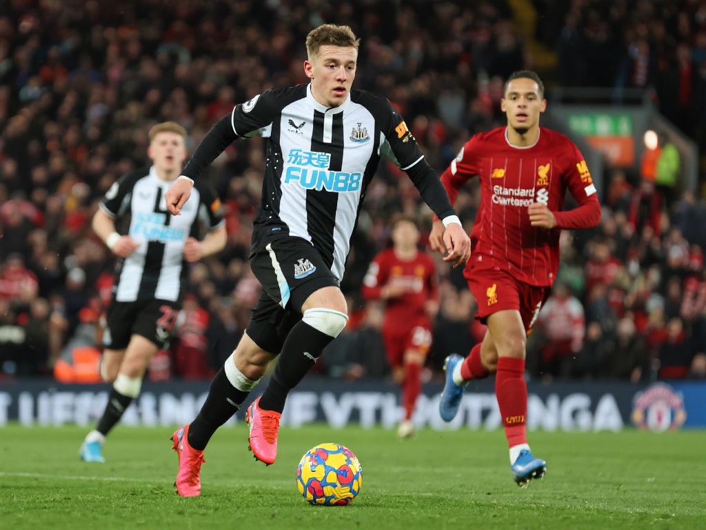 残酷的部分 残酷的部分