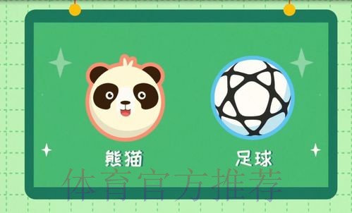 《熊猫说球》第九集:比赛开始与恢复,比赛进行与停止 《熊猫说球》第九集:比赛开始与恢复,比赛进行与停止